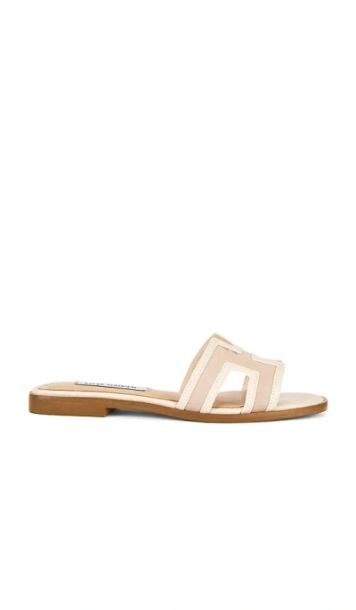 Steve Madden Hadyn Mesh Sandal In Neutral