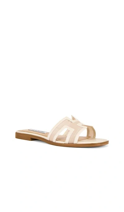 Steve Madden Hadyn Mesh Sandal In Neutral