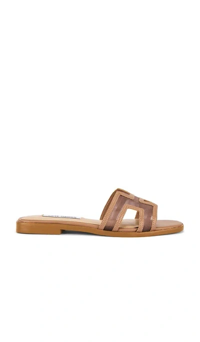 Steve Madden Hadyn Mesh Sandal In Brown