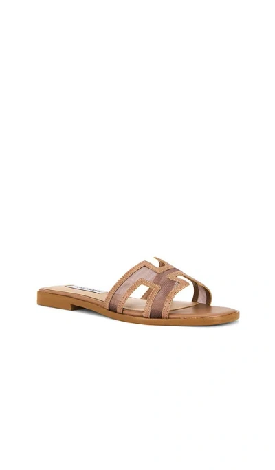 Steve Madden Hadyn Mesh Sandal In Brown