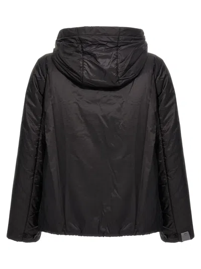 Max Mara The Cube Greenh Technical Fabric Jacket In Black