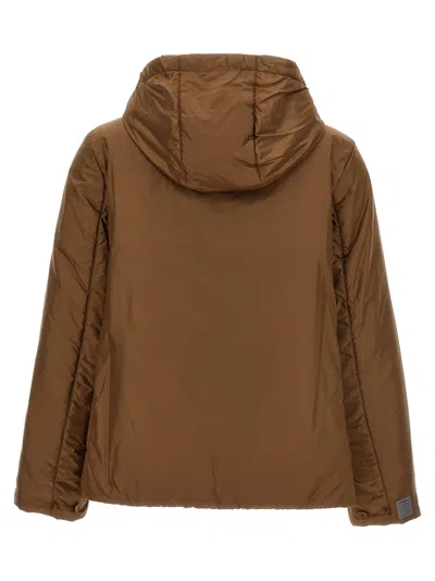 Max Mara The Cube Women Caramel Greenh Padded Hooded Jacket In Brown