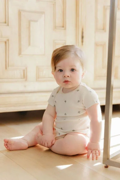 Ely's & Co. Embroidered Collection In Neutral