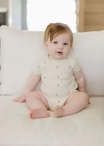 Ely's & Co. Embroidered Collection In Neutral