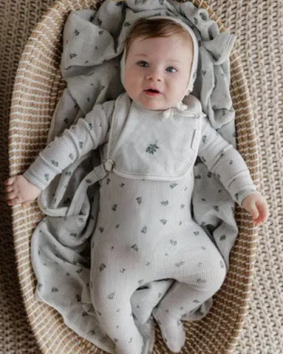 Ely's & Co. Berry Collection In Gray