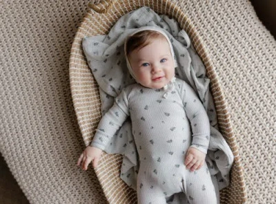 Ely's & Co. Berry Collection In Gray