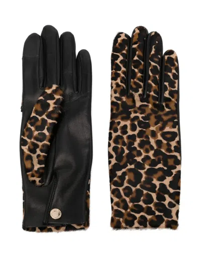 Agnelle Susan Leather And Leopard-print Calf Hair Gloves In Animal Print