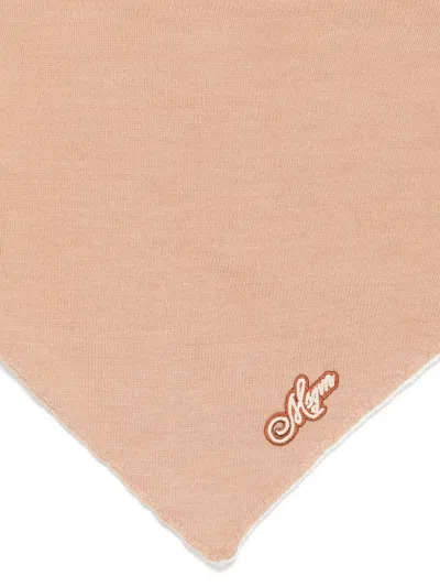 Msgm Triangular Scarf In Brown