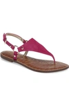 Sam Edelman Greta Leather Thong Sandals In Pink Garnet