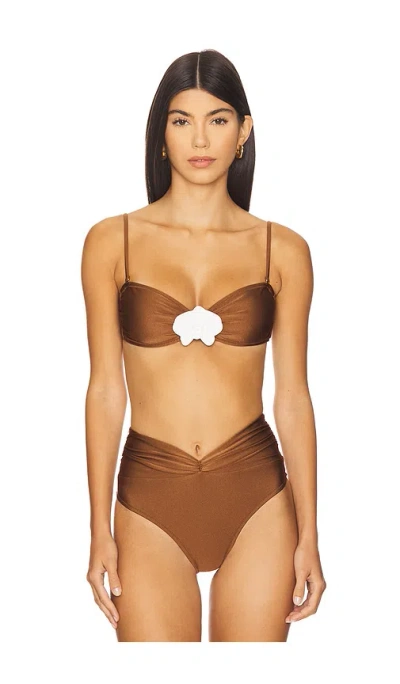 Shani Shemer Callisto Bikini Top In Brown