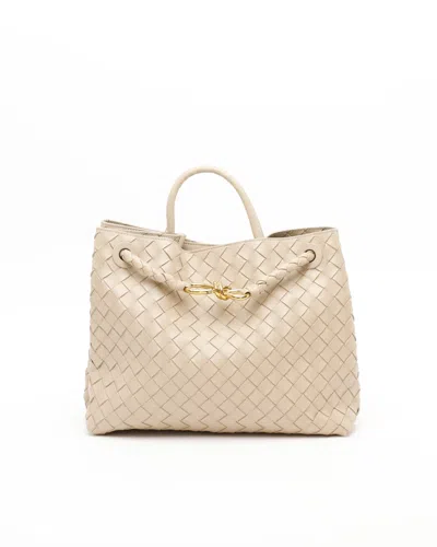 Bottega Veneta Medium Andiamo Bag