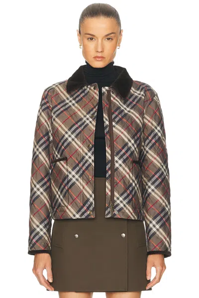 Burberry Womens Moss Brownink Grey Check-print Quilted Cotton Jacket