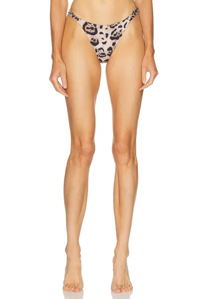 Agua By Agua Bendita Leopard-print Bikini Bottoms In Multi