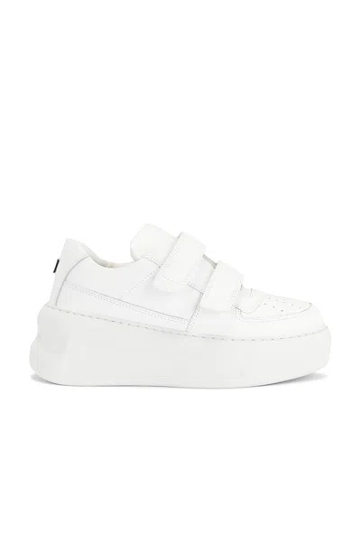 Acne Studios Velcro Strap Platform Sneakers In White Cow Leather In White