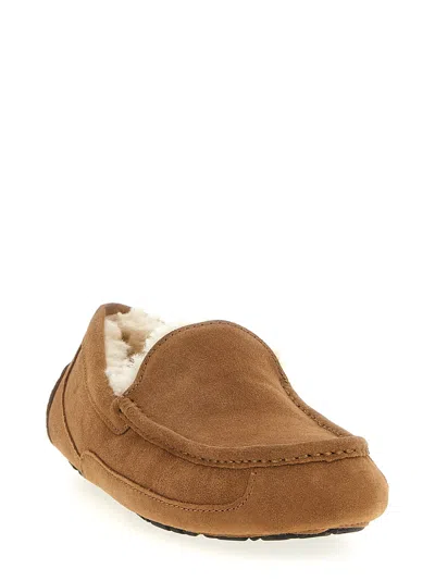 Ugg Slip-on Loafer "linscot" In Brown