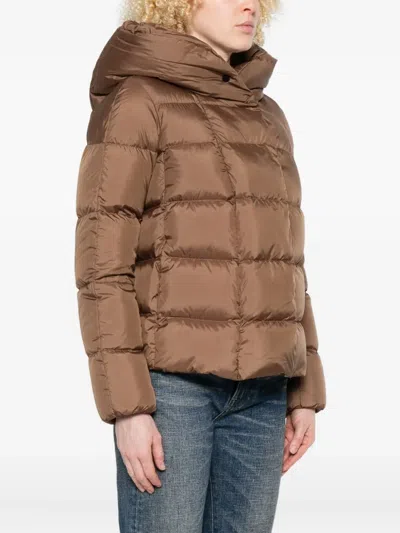 Peuterey Cropped Brown Quilted Coat With High Collar And Spacious Hood In Brown