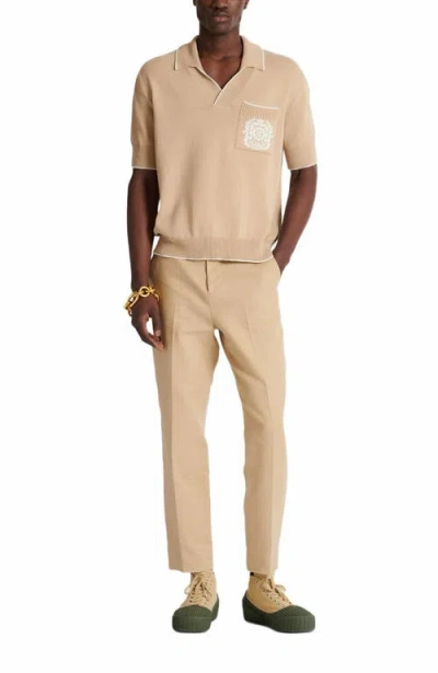 Balmain Écusson Embroidered Knit Polo Shirt In Brown