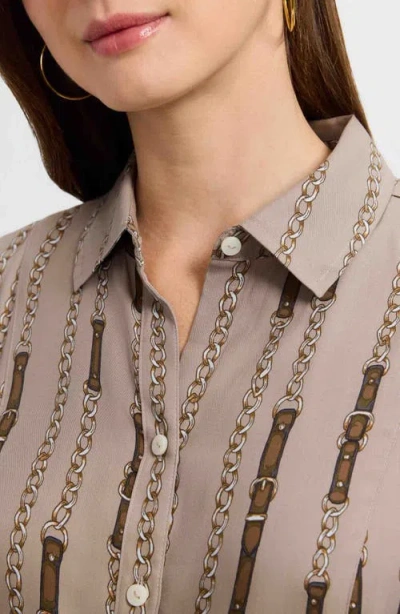 Foxcroft Fiona Chain Stripe Long Sleeve Sleeve Dress In Brown Multi In Neutral