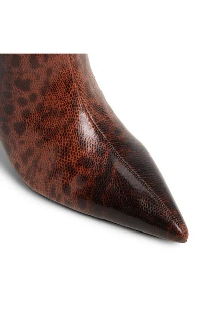 Aldo Women's Selora Knee-high Kitten-heel Dress Boots In Brown