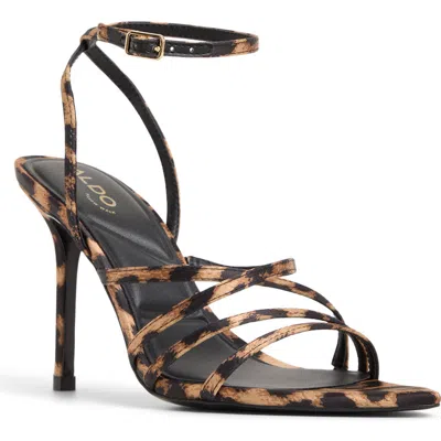 Aldo Solania In Brown