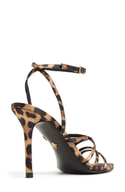 Aldo Solania In Brown