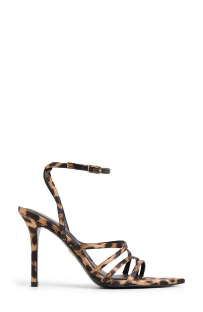 Aldo Solania In Brown