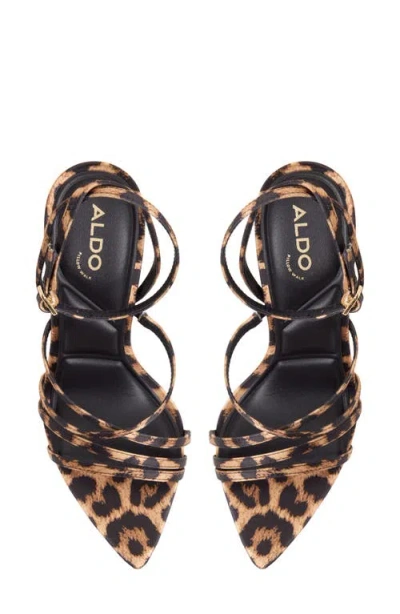 Aldo Solania In Brown