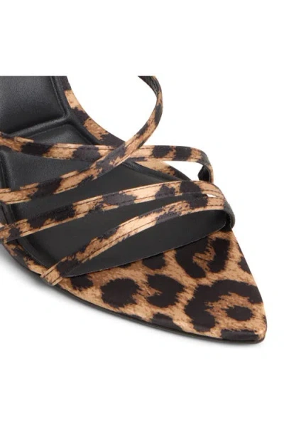 Aldo Solania In Brown