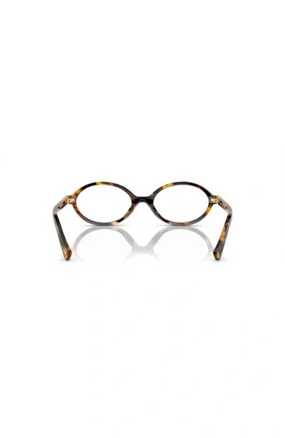 Miu Miu Oval Sunglasses In Brown