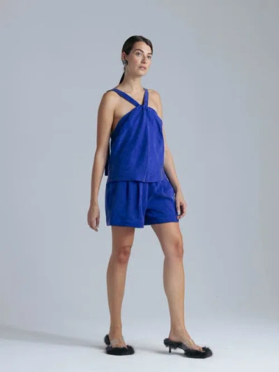 Alas Cupro Top In Blue