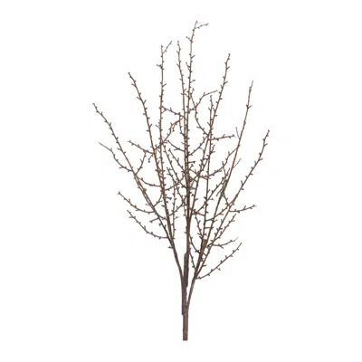 Melrose International Birch Twig Branch (set Of 6) - Brown, Gray