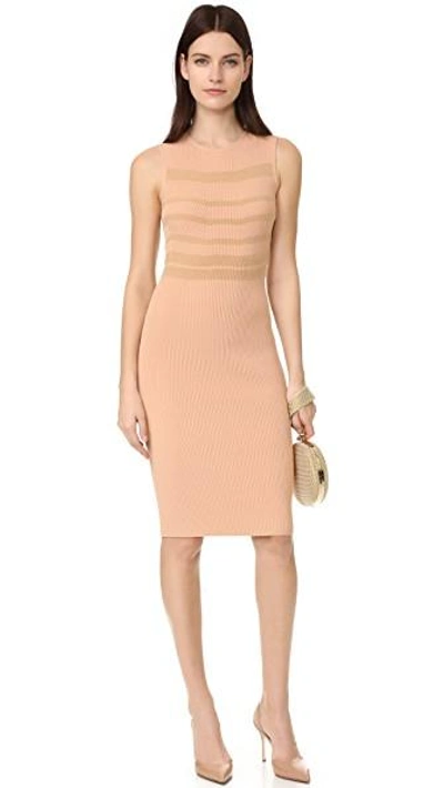 Shop Narciso Rodriguez Sleeveless Dress In Nude/camel