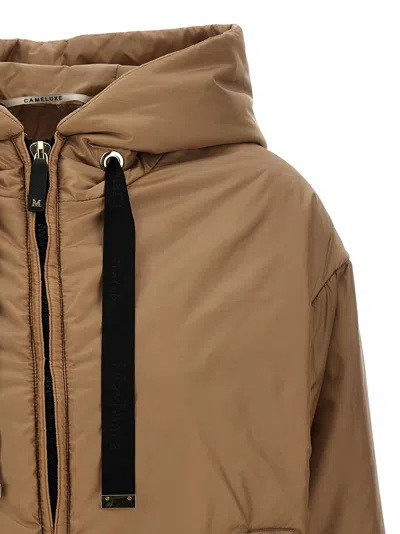 Max Mara The Cube Short Hooded Down Jacket In Brown