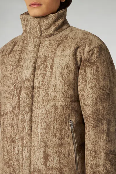 1989 Studio Flocked Fabric Padded Jacket With Embroidered Logo In Brown