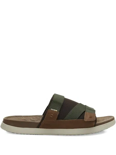 Toms Trvl Lite "brown/green" Slides In Green