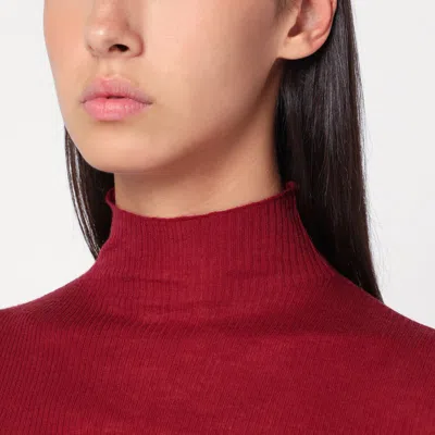 6397 Bordeaux Semi-sheer Turtleneck In Red