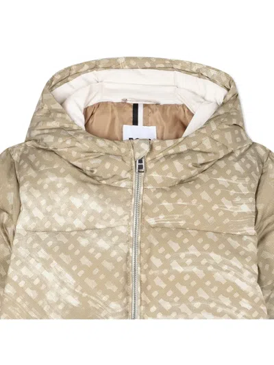 Bosswear Quilted Hooded Puffer Jacket In Brown