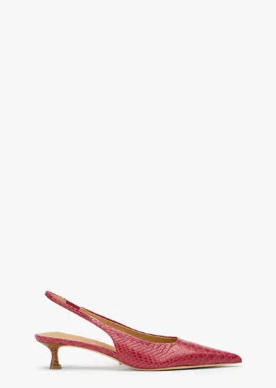 Tony Bianco Catie Scarlet Python