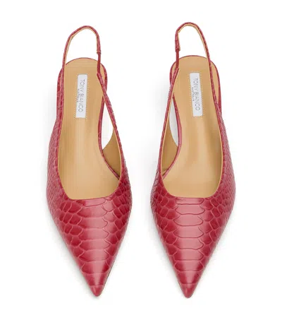 Tony Bianco Catie Scarlet Python
