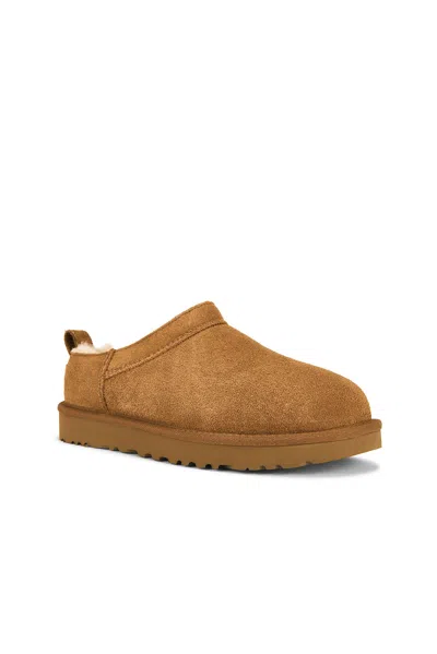 Ugg Micro Micro Micro Micro Micro Micro Micro Micro Micro Micro Micro Micro Micro Micro Micro Micro In Brown