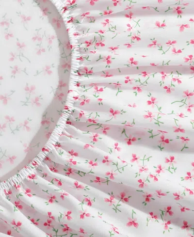 Betsey Johnson Silky Microfiber Printed 3-pc. Sheet Set, Twin In Multi