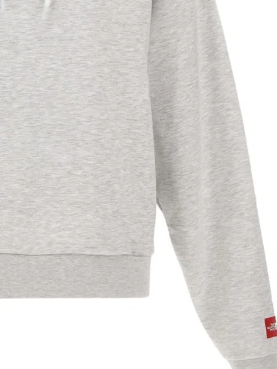 The North Face Hooded Sweatshirt With Drawstring And Ribbed Finish In Gray