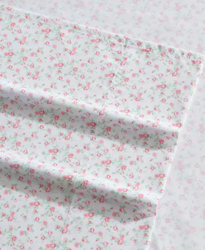 Betsey Johnson Silky Microfiber Printed 4-pc. Sheet Set, King In Multi