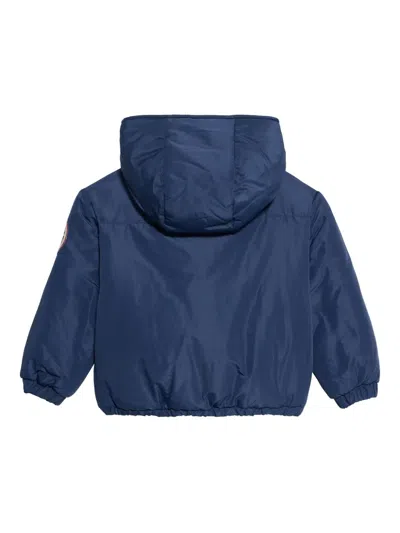 Roberto Cavalli Logo-patch Hooded Padded Jacket In Blue