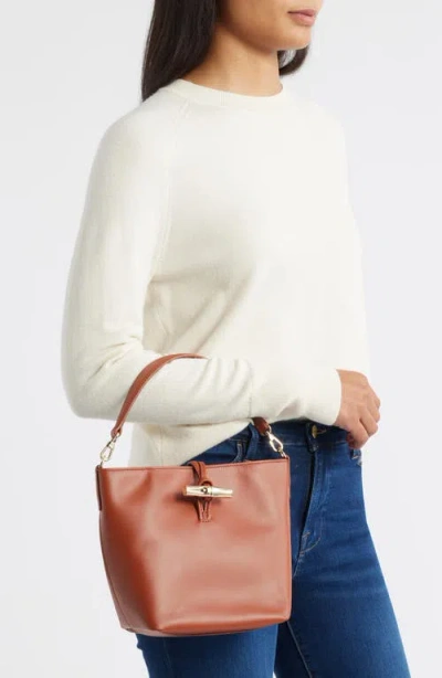 Longchamp Extra Small Le Roseau Leather Bucket Bag In Brown