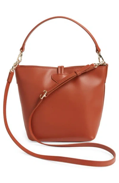 Longchamp Extra Small Le Roseau Leather Bucket Bag In Brown