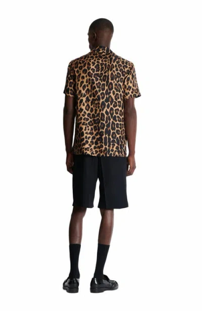 Balmain Leopard Print Silk Bowling Shirt In Brown