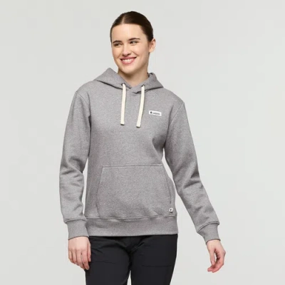 Cotopaxi Llama Patch Pullover Hoodie In Gray