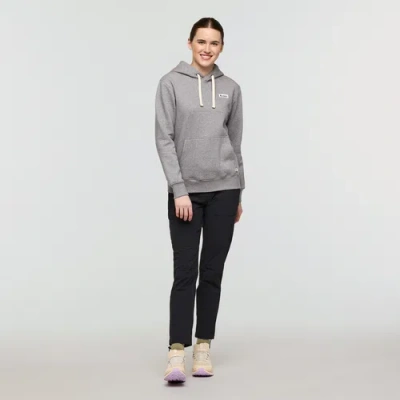 Cotopaxi Llama Patch Pullover Hoodie In Gray