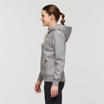 Cotopaxi Llama Patch Pullover Hoodie In Gray